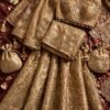 Antique gold zari Banarasi bridal lehenga with full-sleeve choli and Banarasi dupatta by NoorNoorani